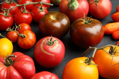 Many different fresh tomatoes on grey table, closeup