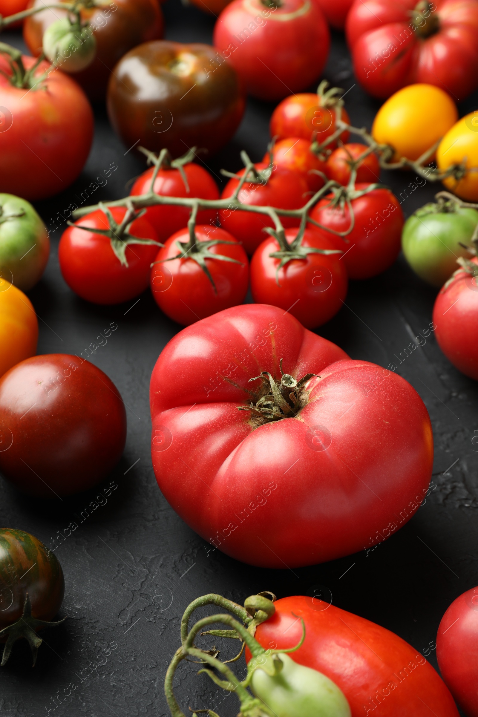 Photo of Different fresh tomatoes on grey textured table, closeup