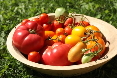 Different fresh tomatoes in bowl on green grass outdoors, closeup