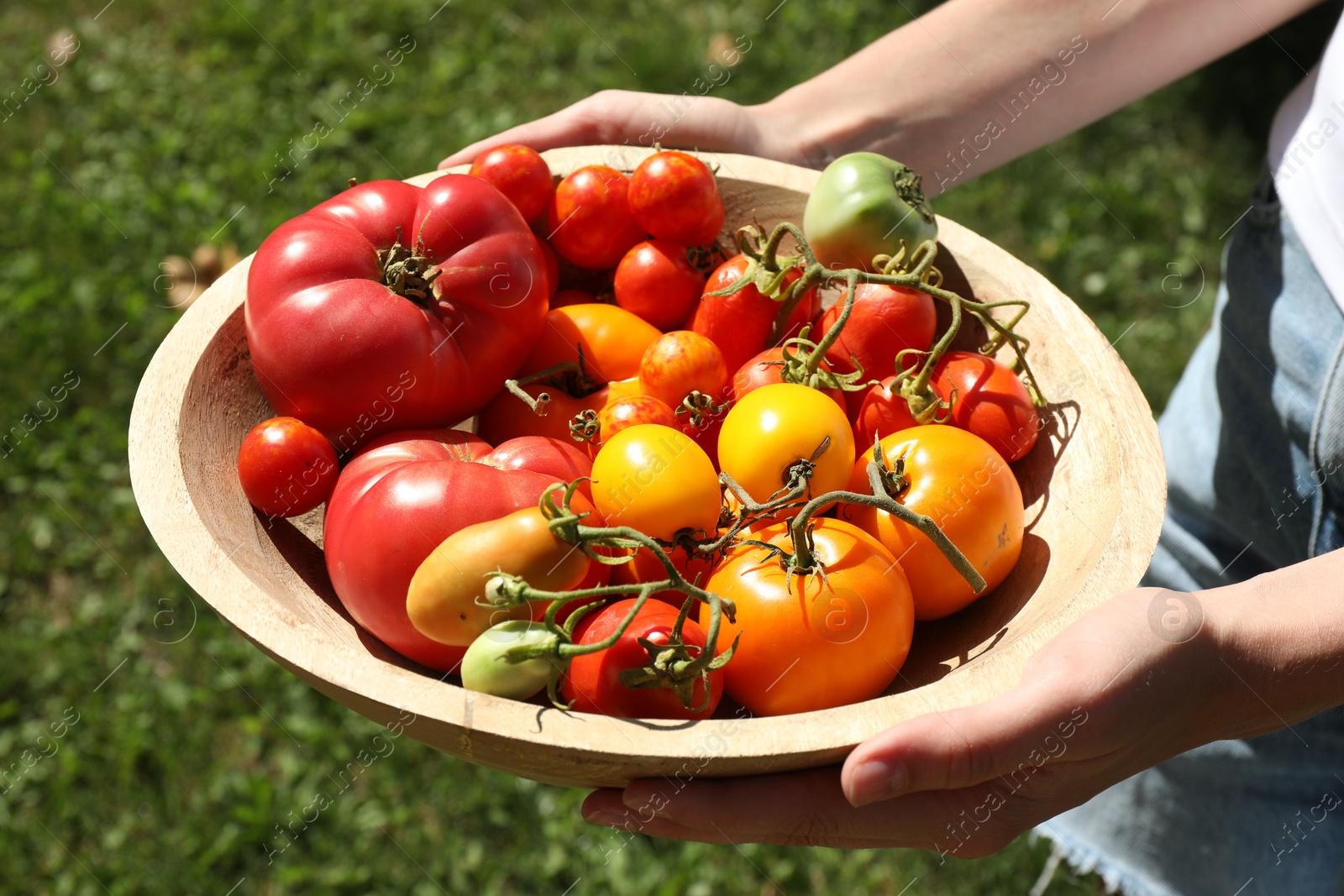 Photo of Woman holding bowl of different fresh tomatoes on sunny day, closeup