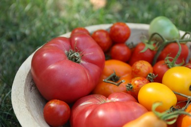 Photo of Different fresh tomatoes in bowl on green grass outdoors, closeup