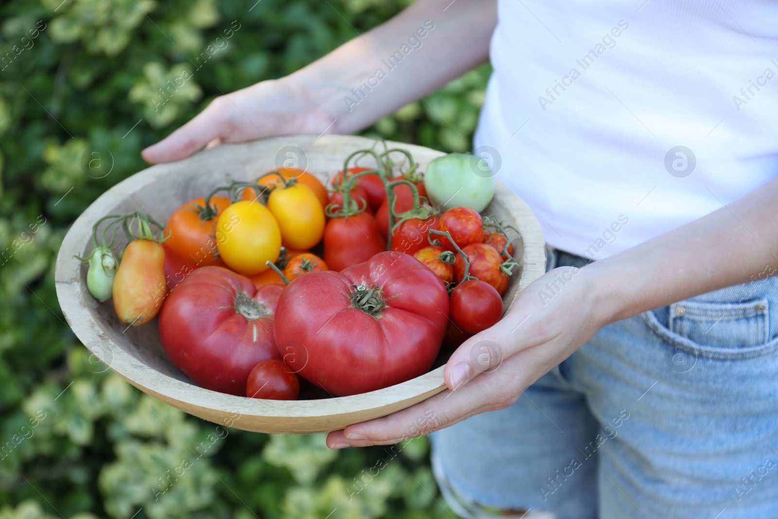 Photo of Woman holding bowl of different fresh tomatoes outdoors, closeup