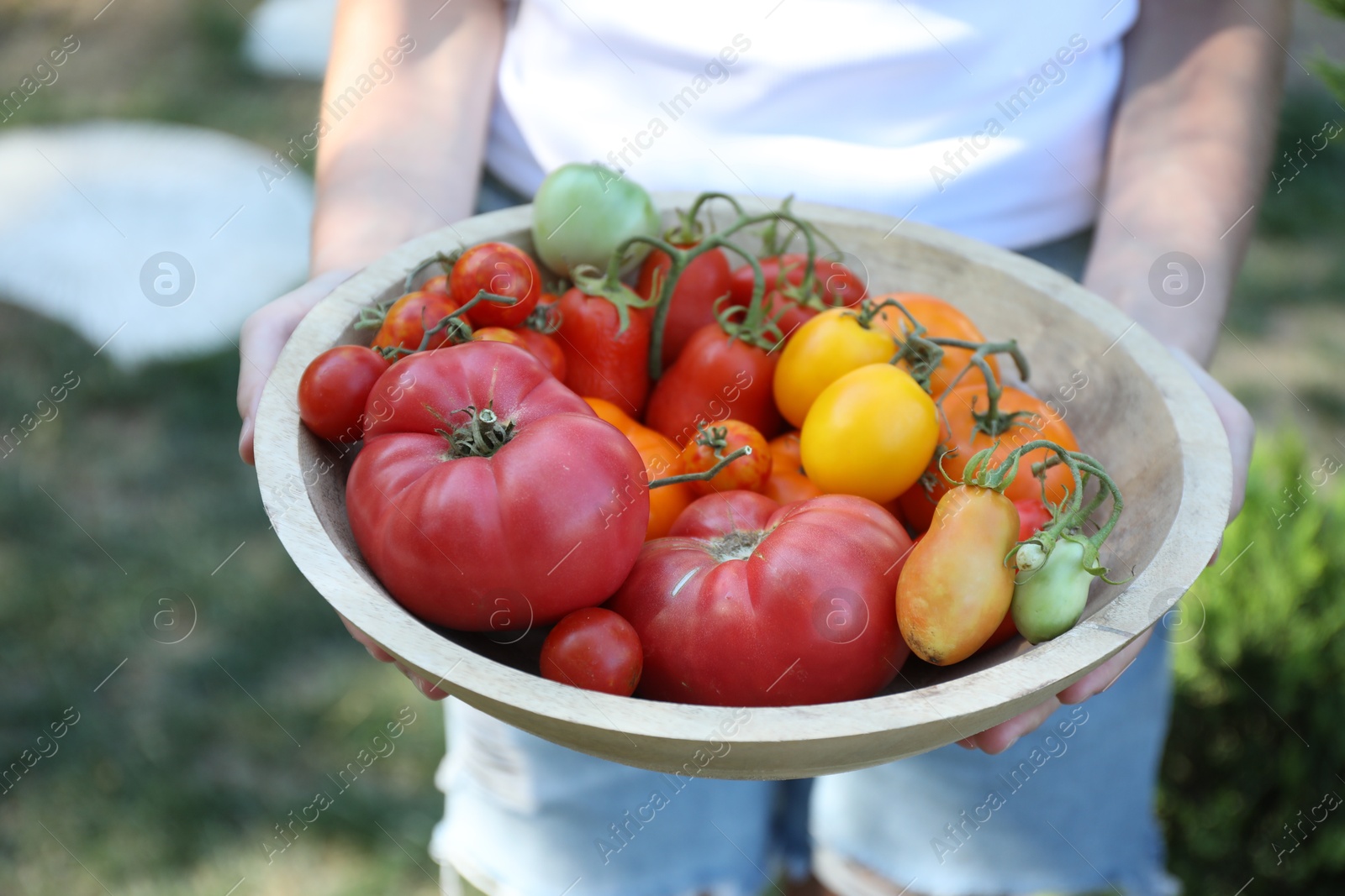 Photo of Woman holding bowl of different fresh tomatoes outdoors, closeup