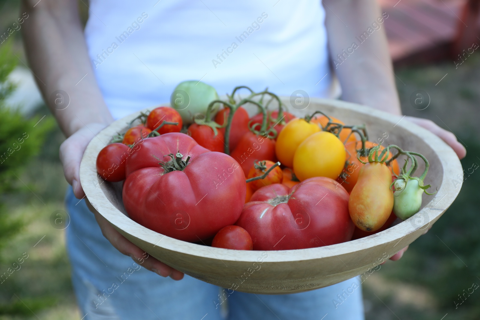 Photo of Woman holding bowl of different fresh tomatoes outdoors, closeup