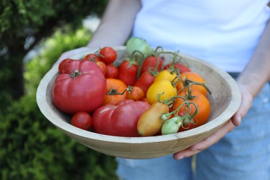 Photo of Woman holding bowl of different fresh tomatoes outdoors, closeup