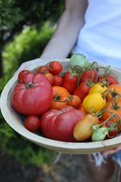 Woman holding bowl of different fresh tomatoes outdoors, closeup