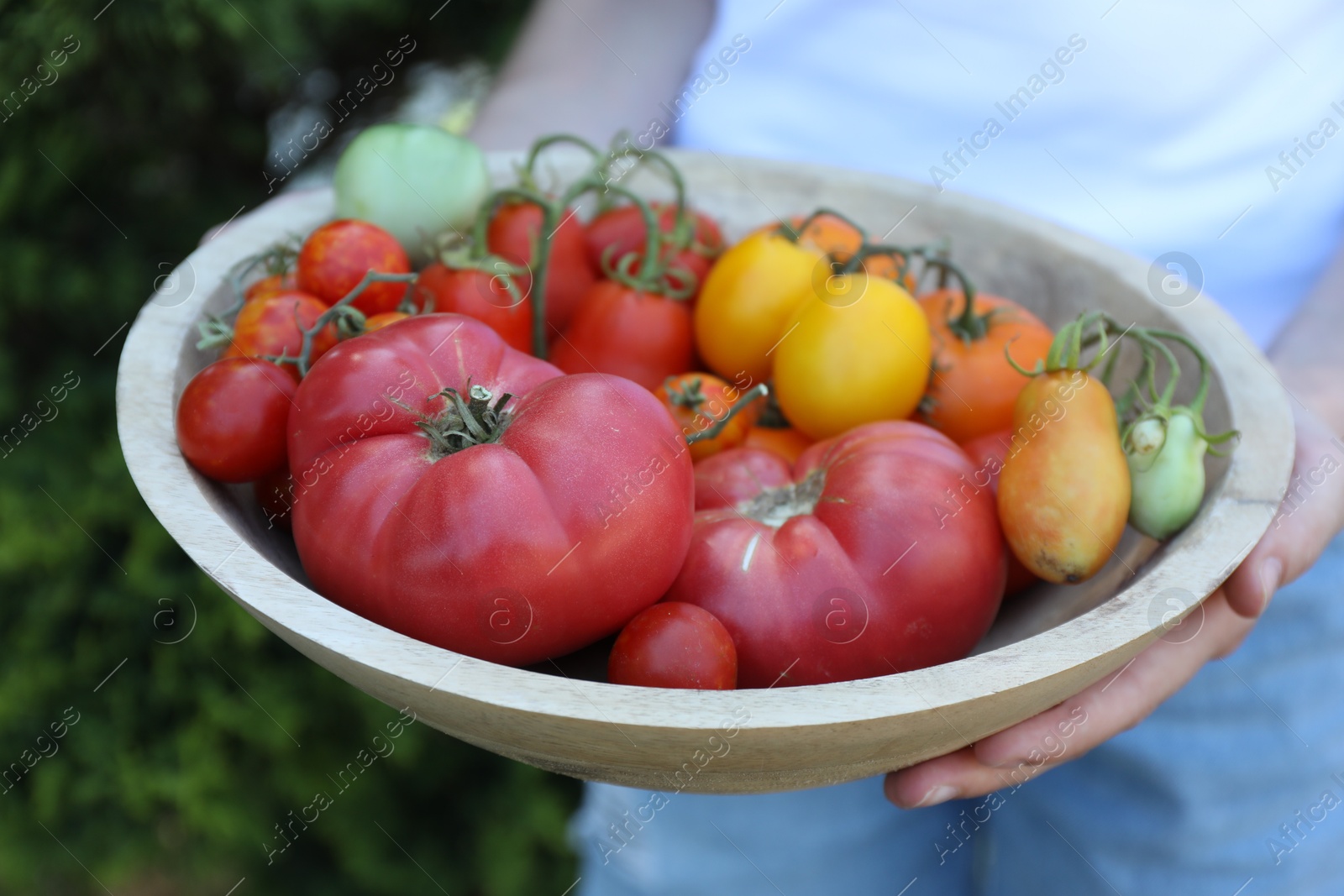 Photo of Woman holding bowl of different fresh tomatoes outdoors, closeup