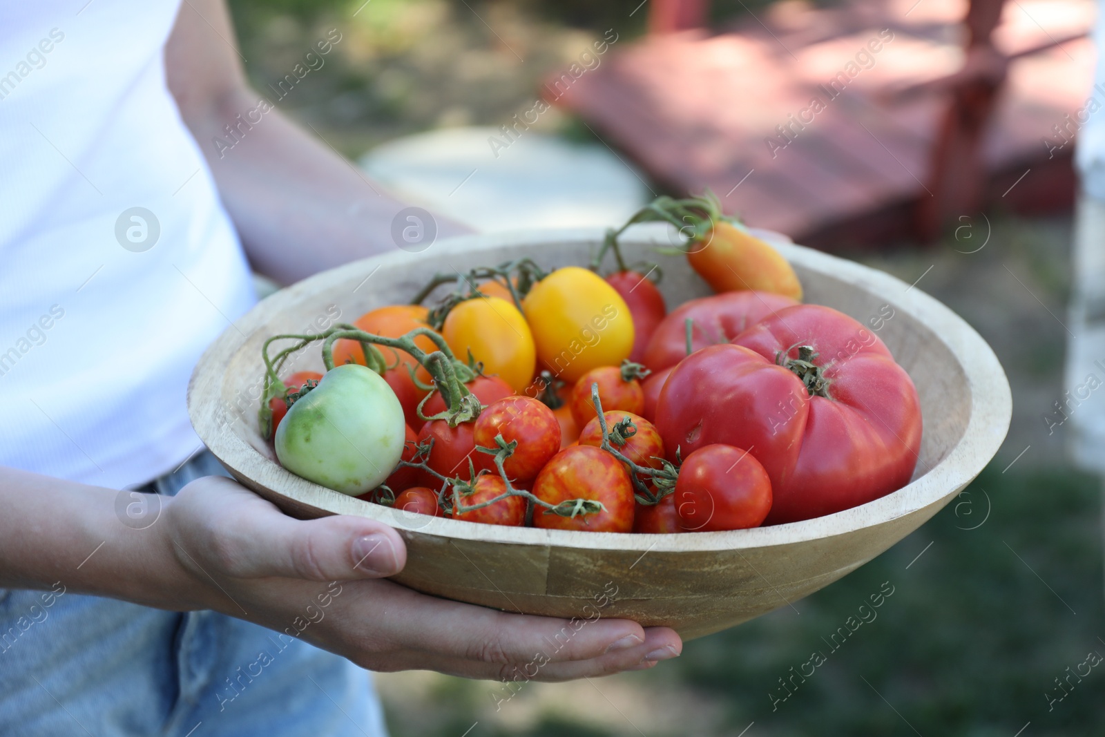 Photo of Woman holding bowl of different fresh tomatoes outdoors, closeup