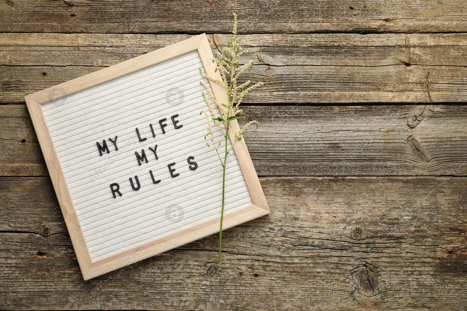 Photo of Letter board with phrase My Life My Rules and beautiful flower on wooden table, top view. Space for text