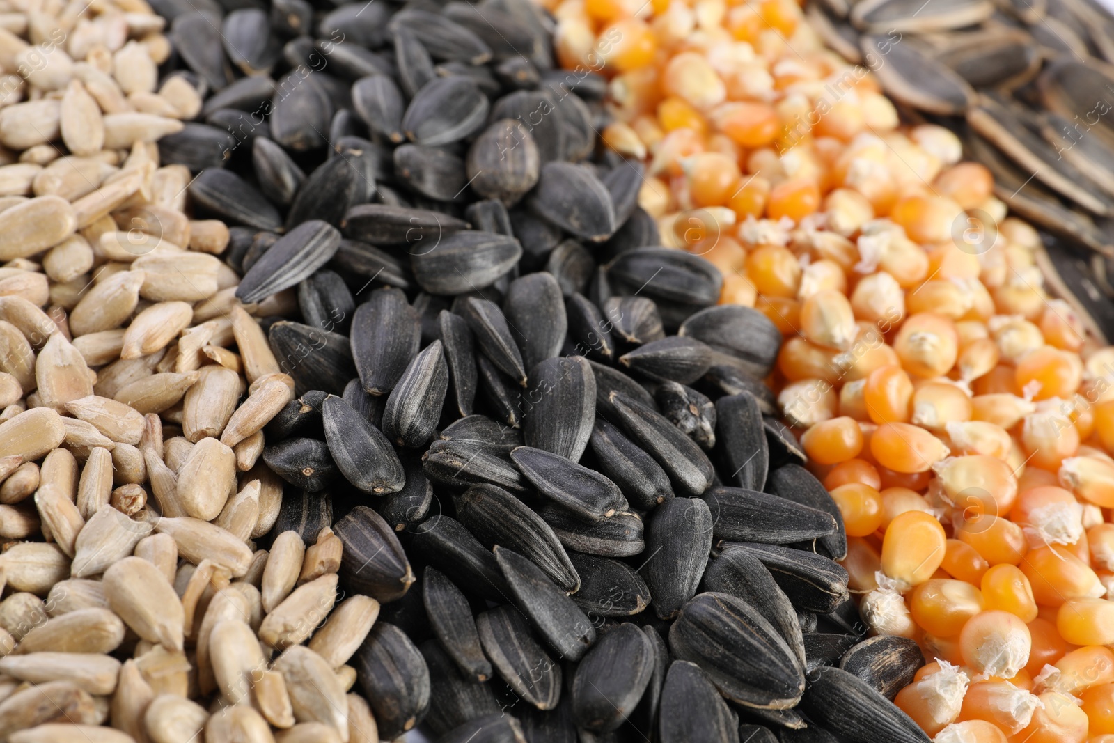 Photo of Different sunflower seeds and corn kernels as background, closeup