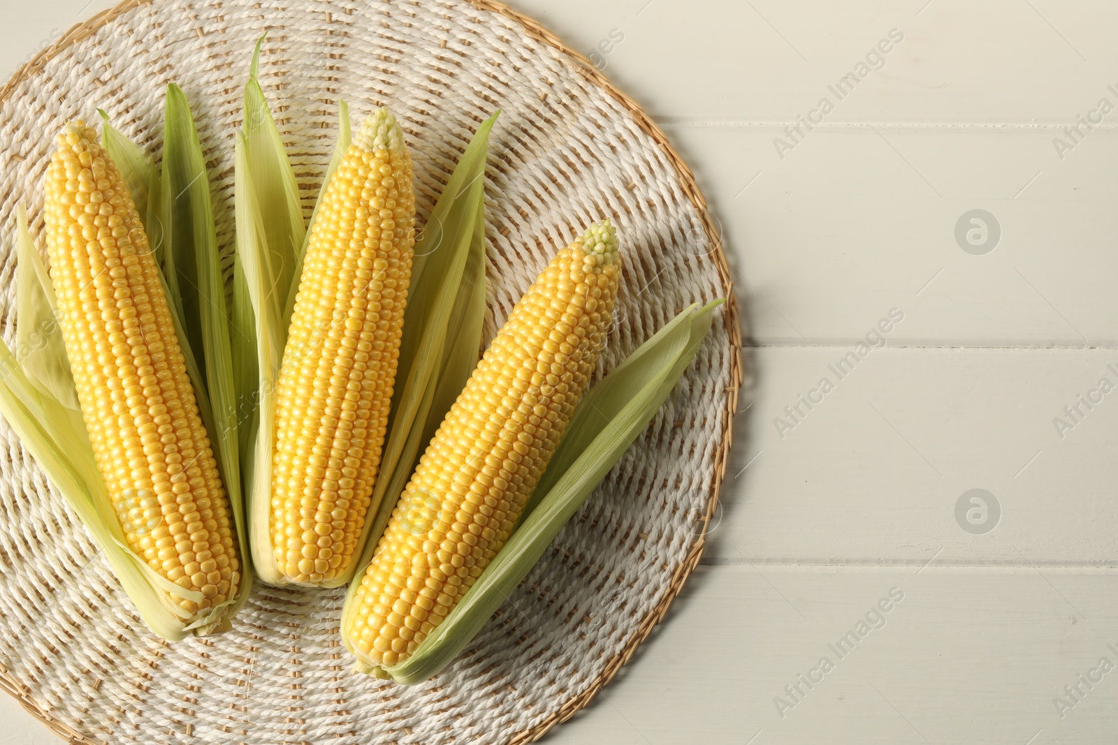 Photo of Many fresh ripe corncobs with green husks on white wooden table, top view. Space for text