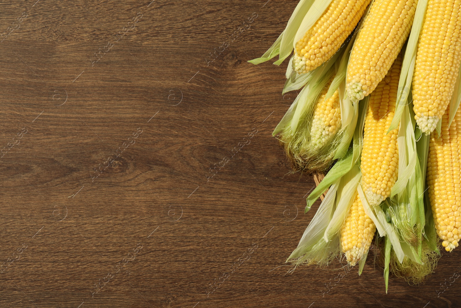 Photo of Many fresh ripe corncobs with green husks on wooden table, top view. Space for text