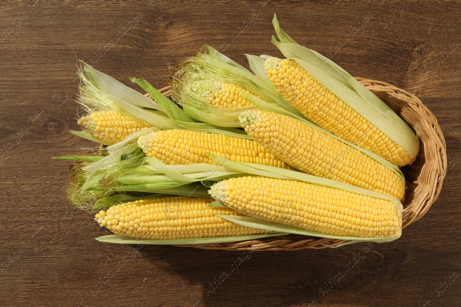 Photo of Many fresh ripe corncobs with green husks on wooden table, top view