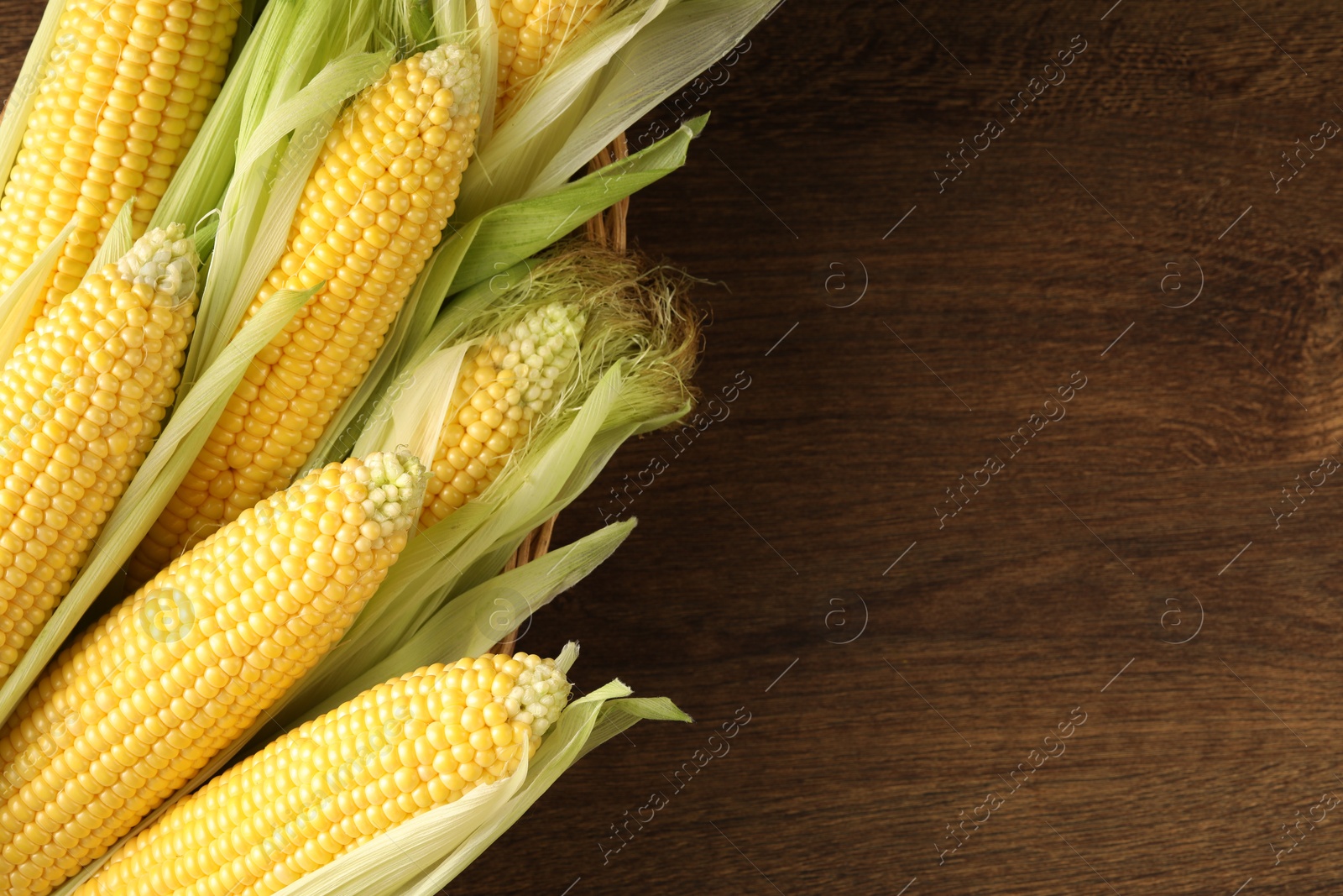 Photo of Many fresh ripe corncobs with green husks on wooden table, top view. Space for text