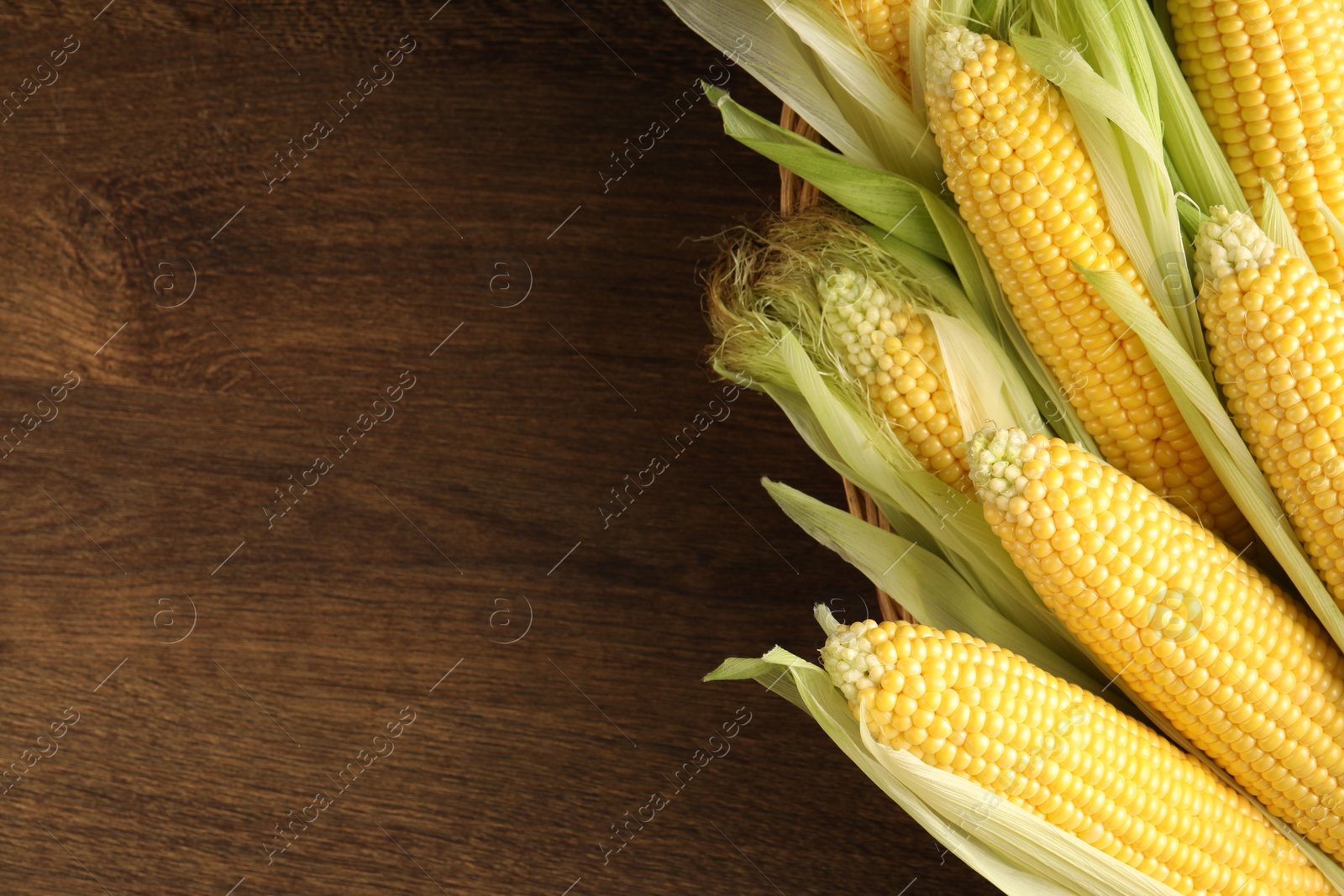 Photo of Many fresh ripe corncobs with green husks on wooden table, top view. Space for text