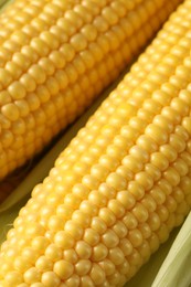 Photo of Many fresh ripe corncobs with green husks as background, closeup