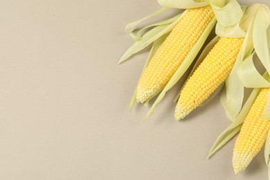 Many fresh ripe corncobs with husks on beige background, top view. Space for text