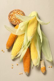 Many corncobs with green husks and kernels on beige background, flat lay