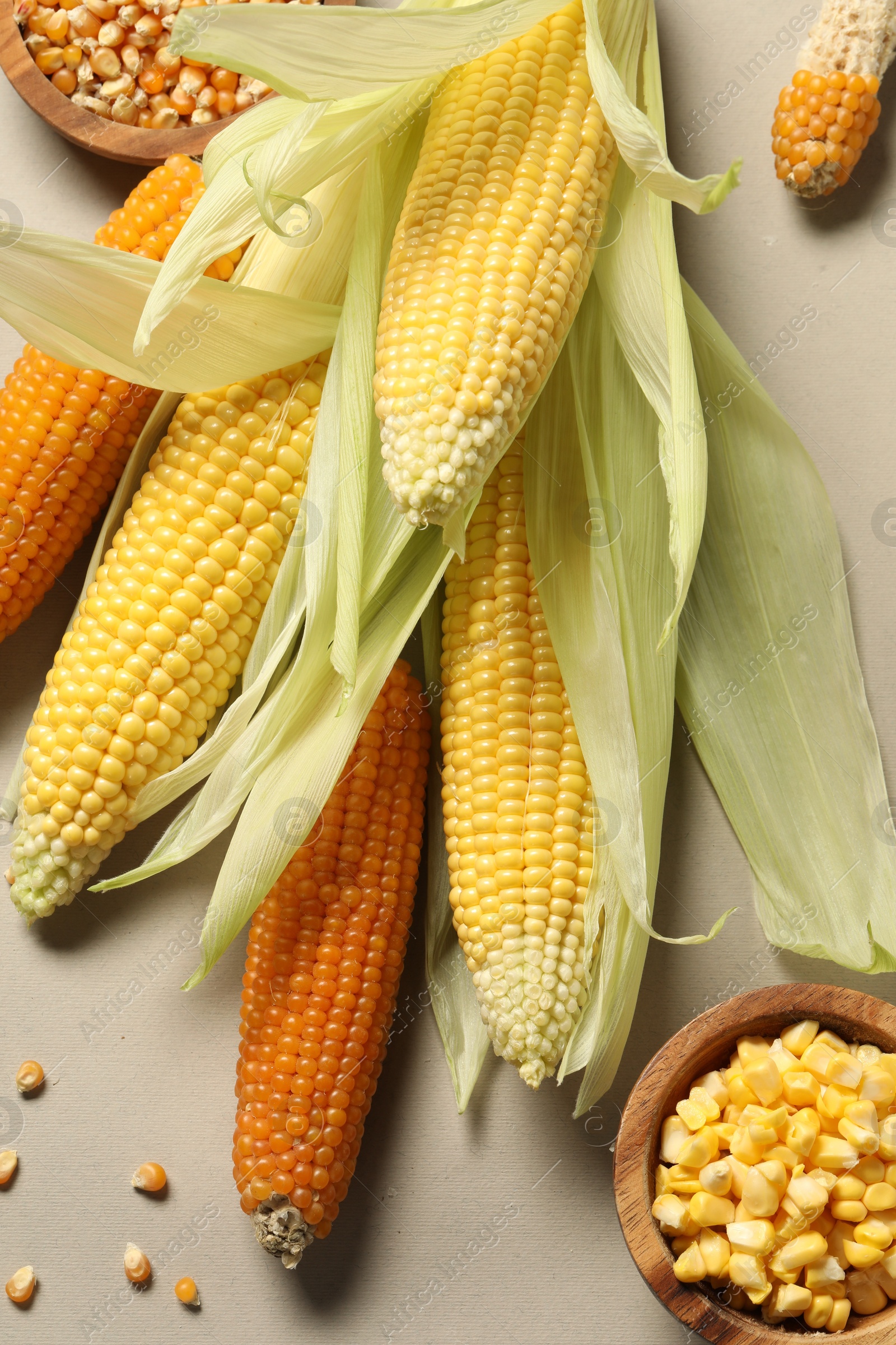 Photo of Many corncobs with green husks and kernels on beige background, flat lay