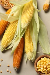 Many corncobs with green husks and kernels on beige background, flat lay