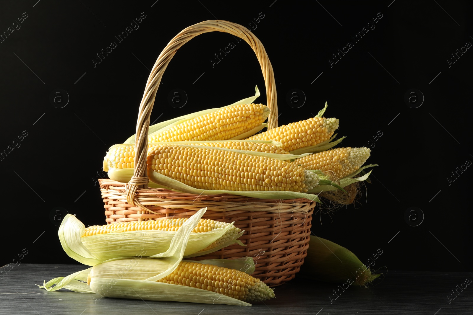 Photo of Many fresh ripe corncobs with green husks in wicker basket on table against black background