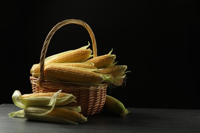 Many fresh ripe corncobs with green husks in wicker basket on table against black background. Space for text