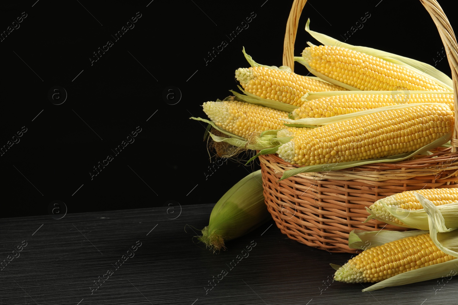 Photo of Many fresh ripe corncobs with green husks in wicker basket on table against black background, closeup. Space for text