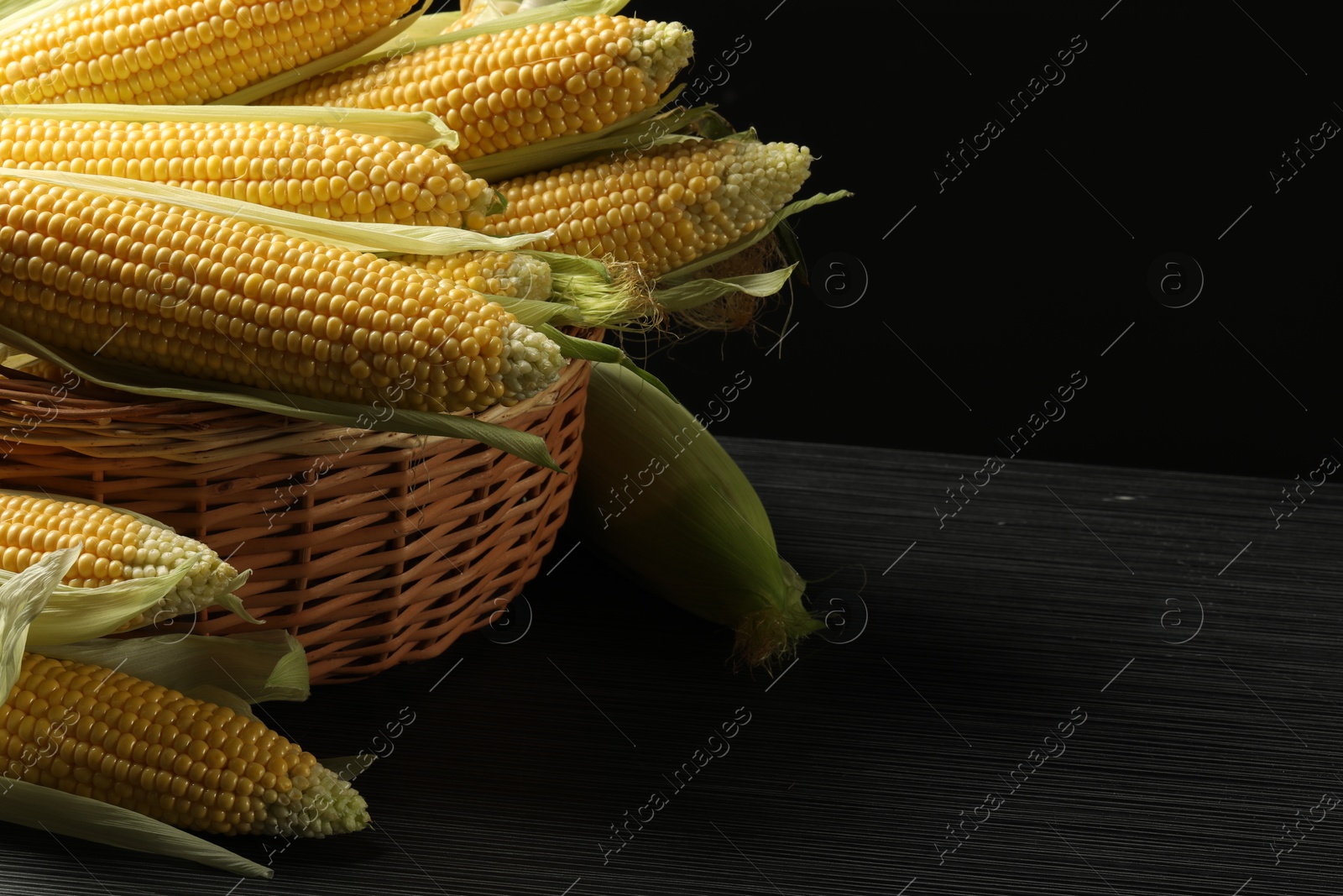 Photo of Many fresh ripe corncobs with green husks in wicker basket on table against black background, closeup. Space for text