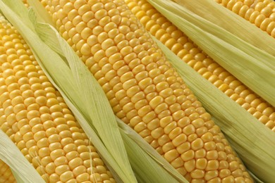 Photo of Many fresh ripe corncobs with green husks as background, closeup