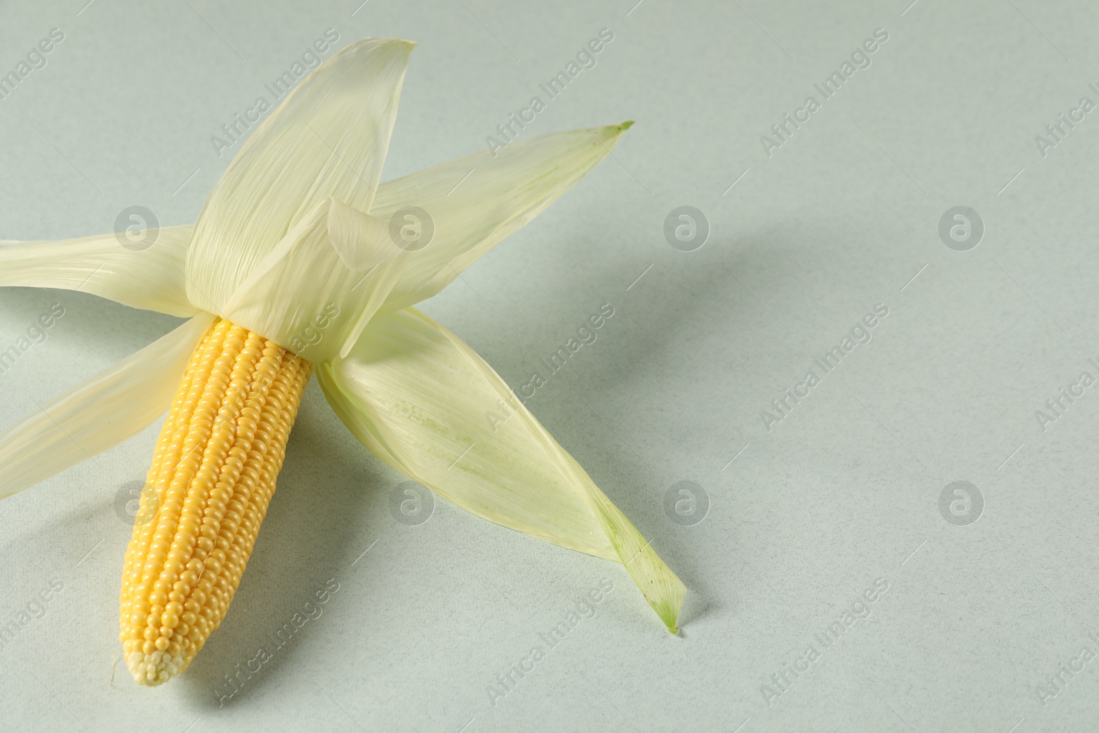 Photo of Fresh ripe corncob with green husks on light background. Space for text