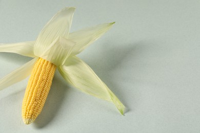 Fresh ripe corncob with green husks on light background. Space for text