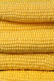 Photo of Many fresh ripe corncobs as background, top view