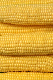 Many fresh ripe corncobs as background, top view