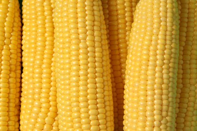 Photo of Many fresh ripe corncobs as background, top view