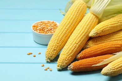 Photo of Many corncobs and kernels on light blue wooden table, closeup. Space for text