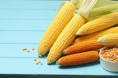 Many corncobs and kernels on light blue wooden table, closeup. Space for text