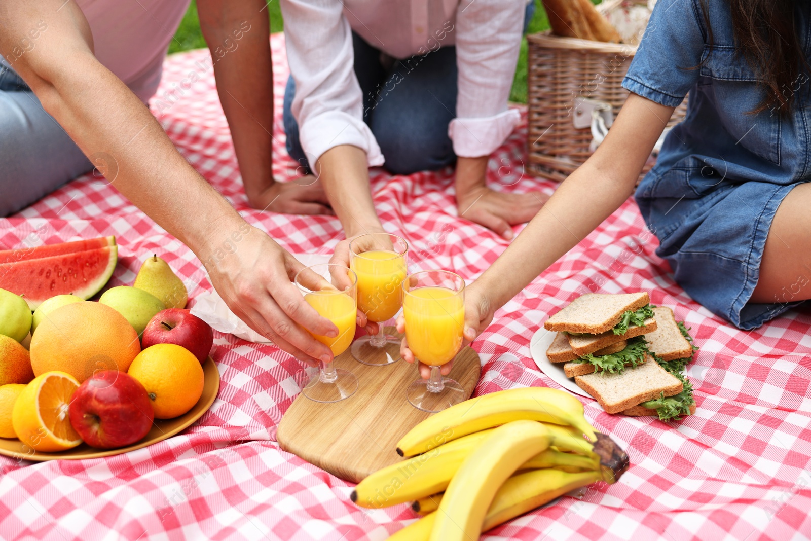 Photo of Family having picnic on checkered blanket outdoors, closeup