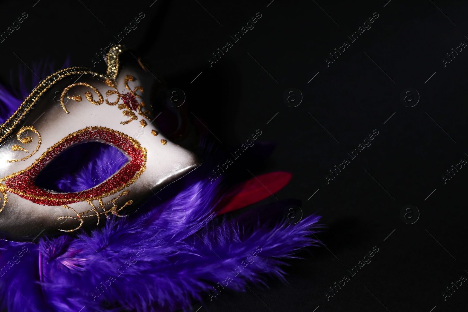 Photo of Beautiful carnival mask and bright feathers on black background, closeup. Space for text