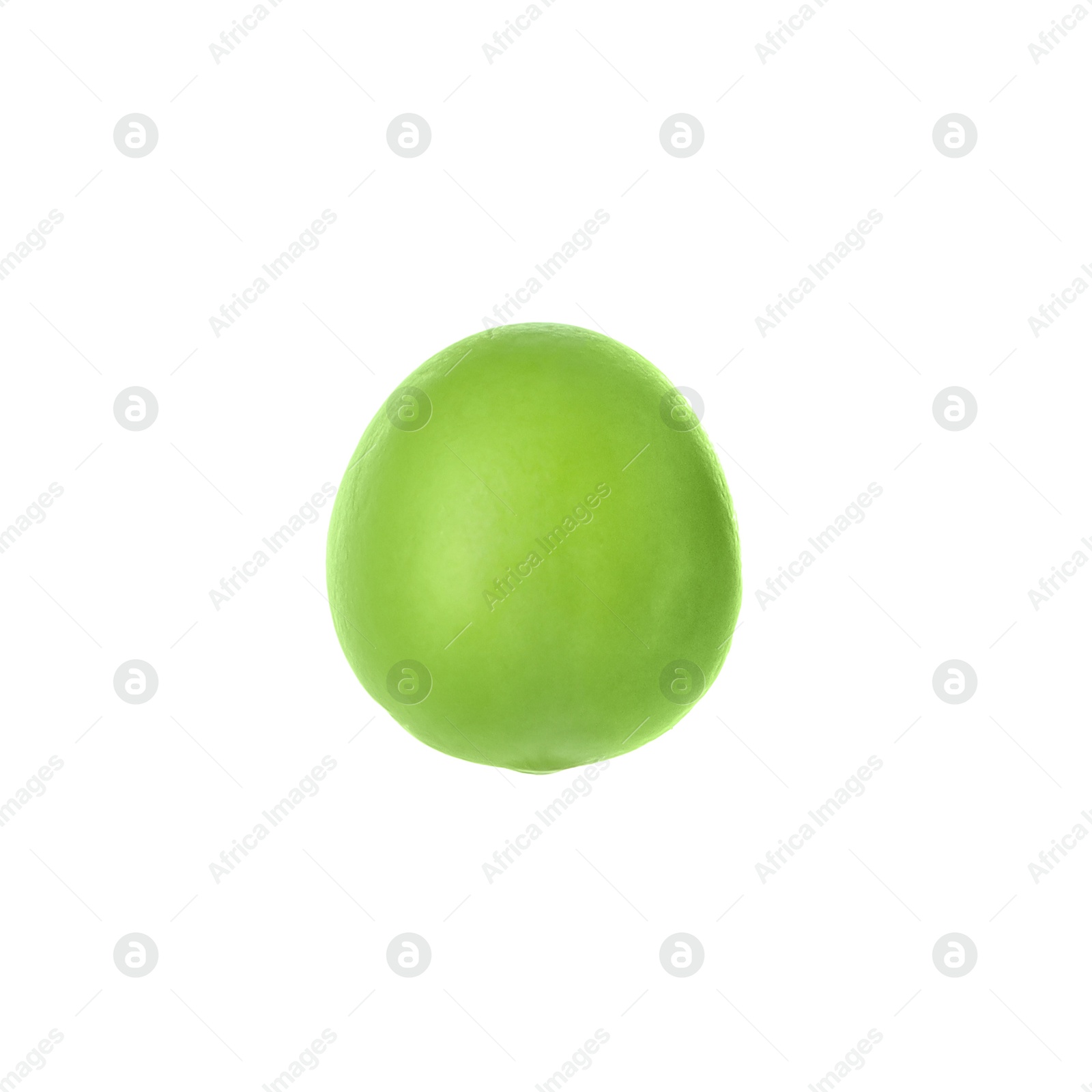 Photo of One fresh green pea isolated on white