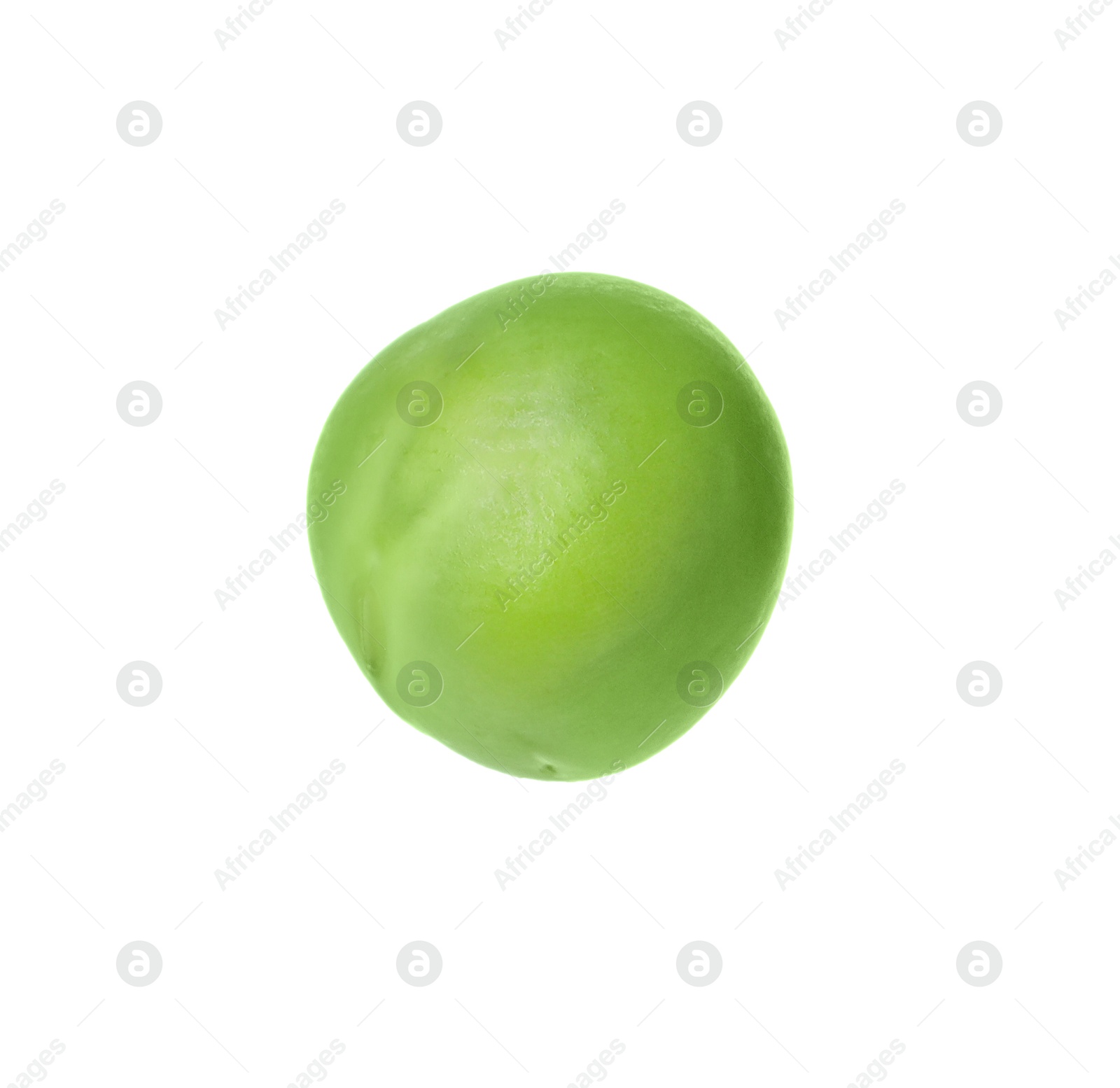 Photo of One fresh green pea isolated on white