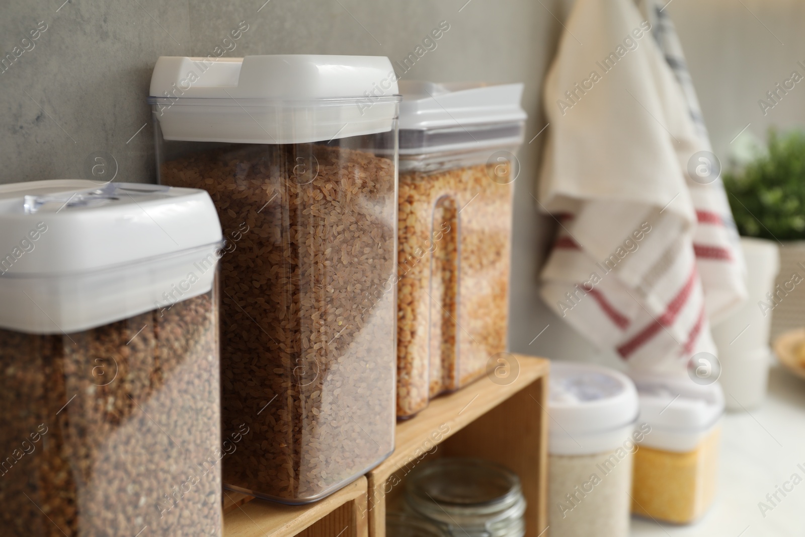 Photo of Different types of cereals in containers on light table, closeup