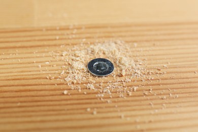 Photo of Screw in wooden plank and sawdust, closeup