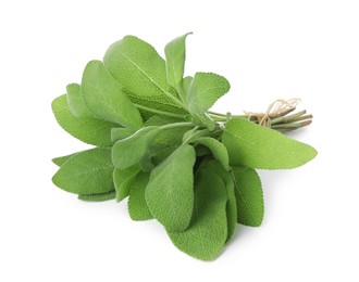 Photo of Bunch of green sage leaves isolated on white