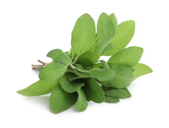 Photo of Fresh green sage leaves isolated on white