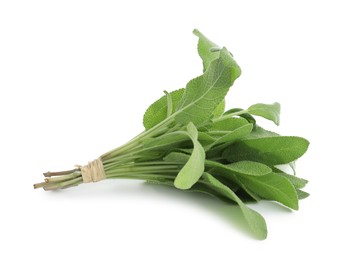 Photo of Bunch of green sage leaves isolated on white