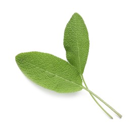 Photo of Fresh green sage leaves isolated on white, top view