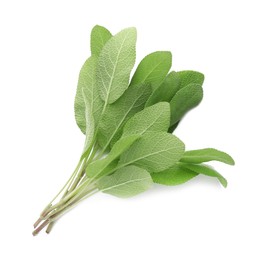 Photo of Branches with green sage leaves isolated on white, top view