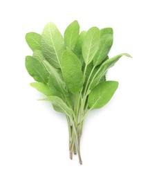 Photo of Branches with green sage leaves isolated on white, top view