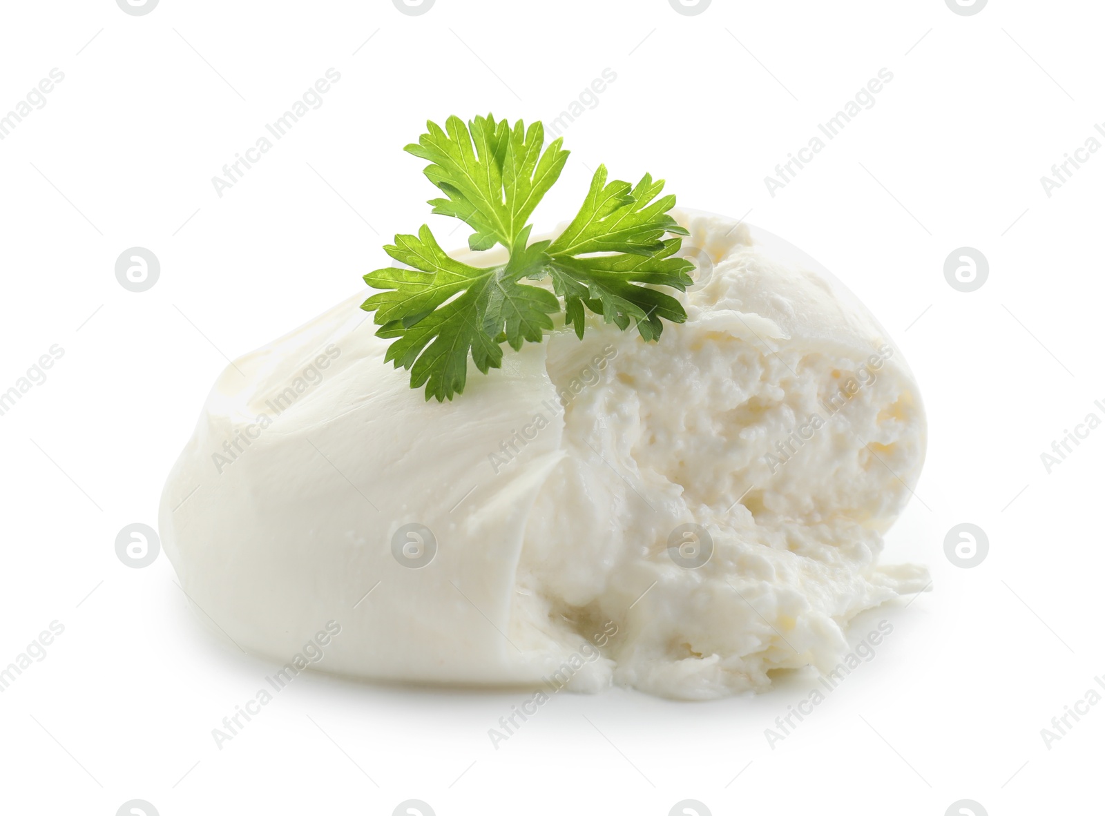 Photo of Delicious burrata cheese and parsley isolated on white