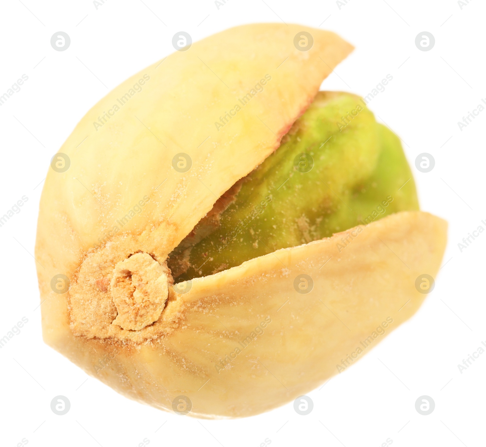 Photo of One tasty pistachio nut isolated on white